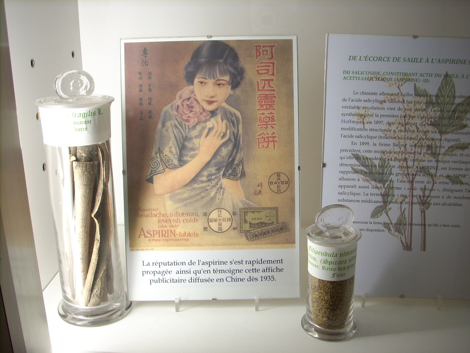 Musée des plantes médicinales et de la Pharmacie, ULB, Brussels - 01.JPG